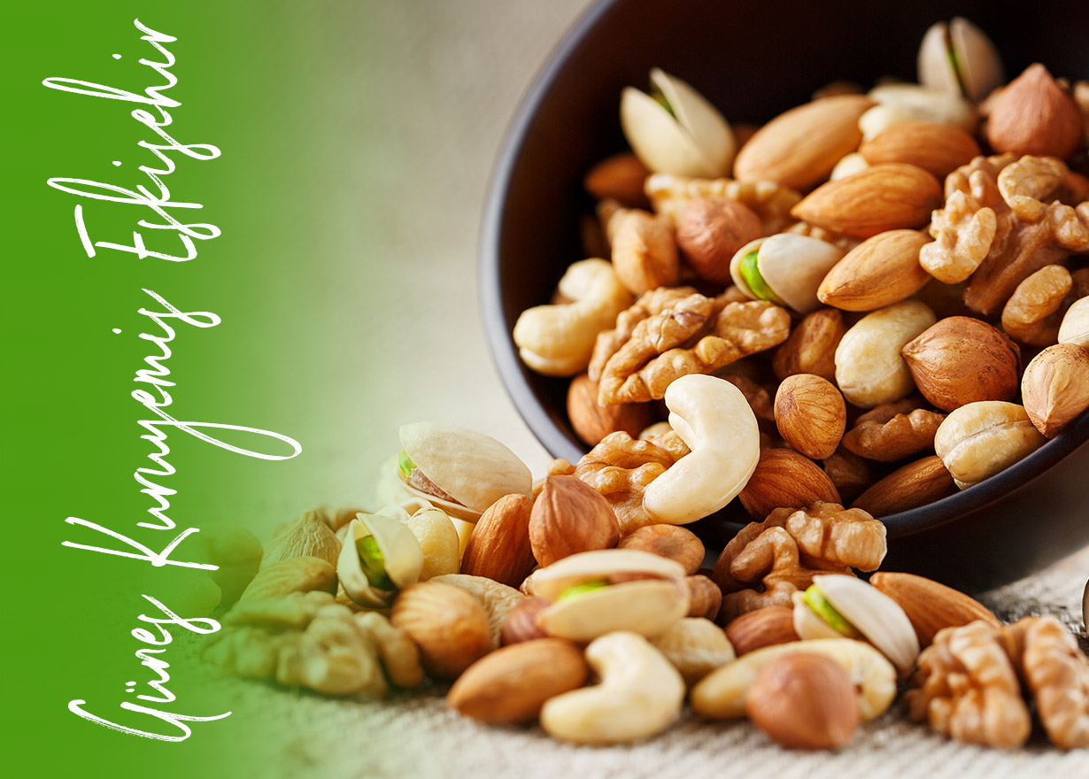 Güneş Kuruyemiş Eskişehir