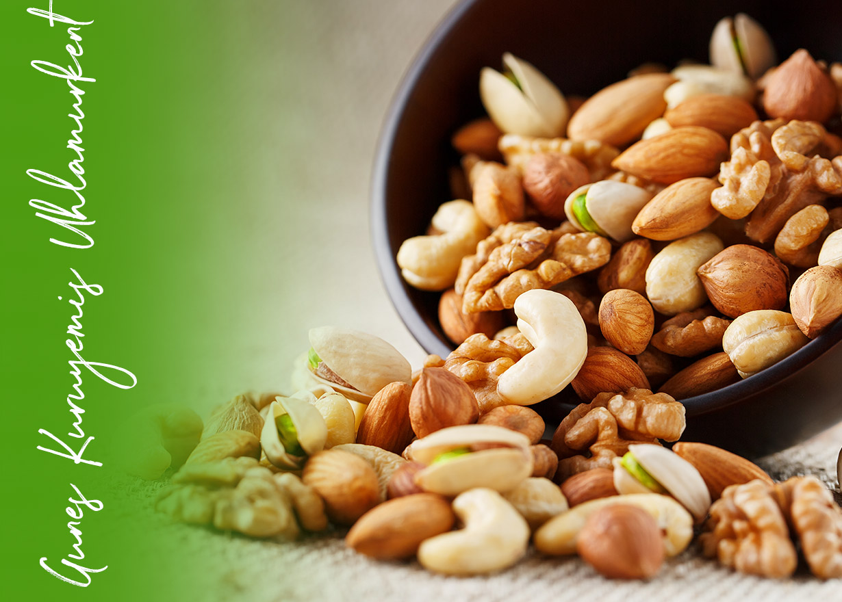 Güneş Kuruyemiş Ihlamurkent